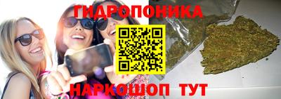 гидропоника Гатчина