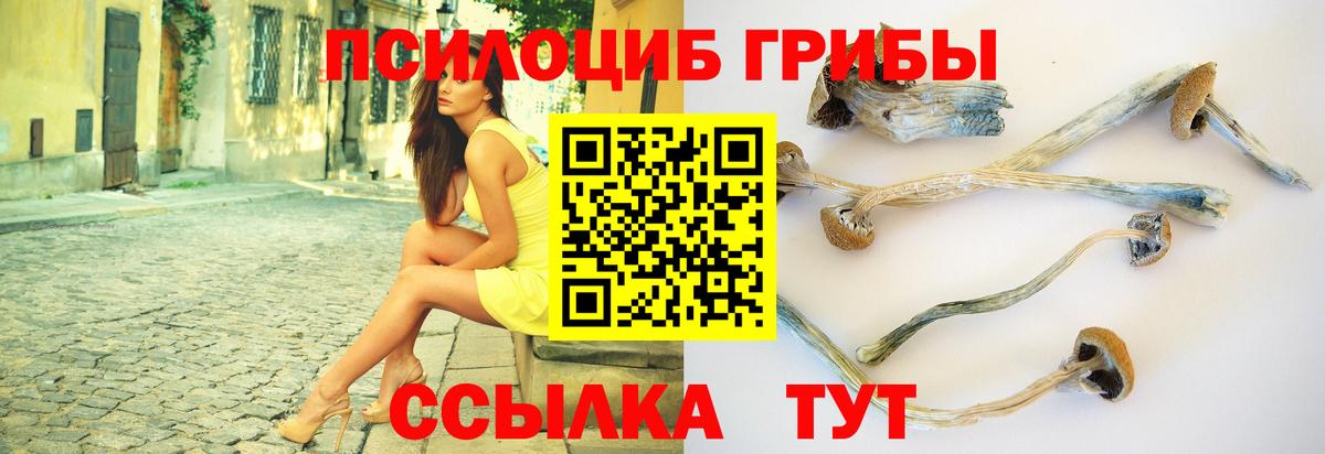 Галлюциногенные грибы мицелий  Вход с VPN  Димитровград  Галлюциногенные грибы ЛСД 
